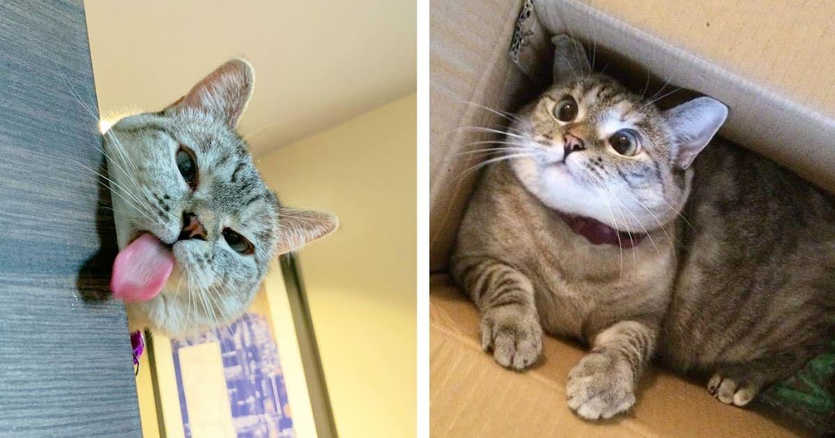 pn//uploads/ada aaff ee  bbcfabae__