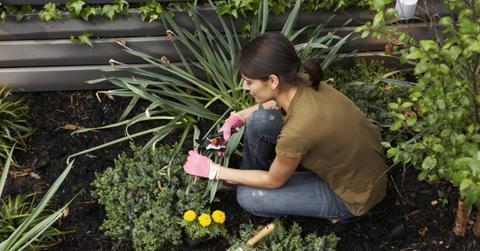 A woman working on landscaping in her front yard