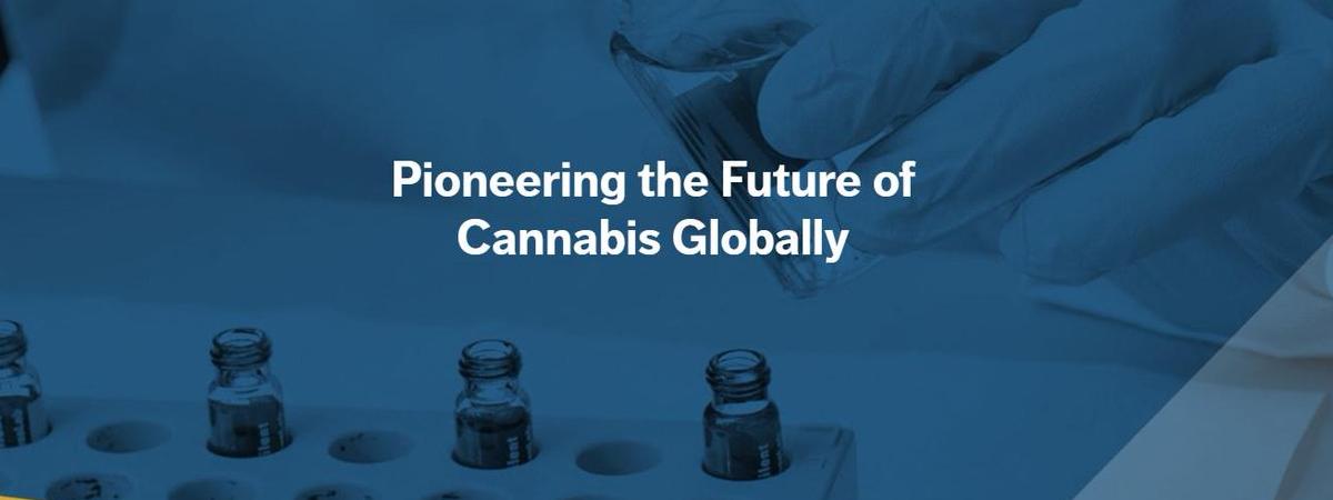 Tilray (TLRY) Stock Forecast 2025: Is It a Good Long-Term Investment?