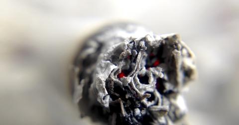 uploads///Mike Tyson