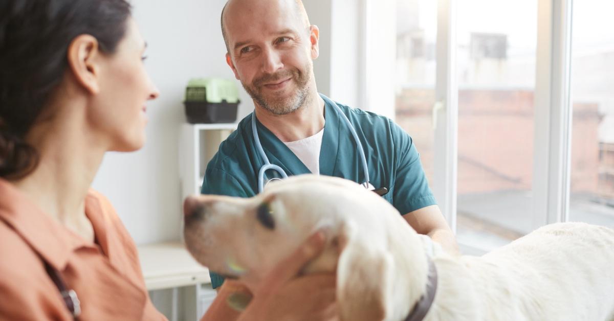 A woman takes her dog to the vet.