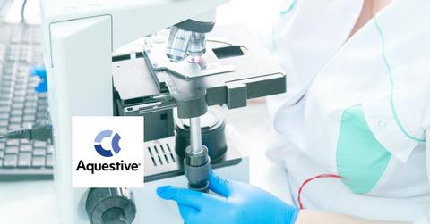 scientist checking samples on microscope