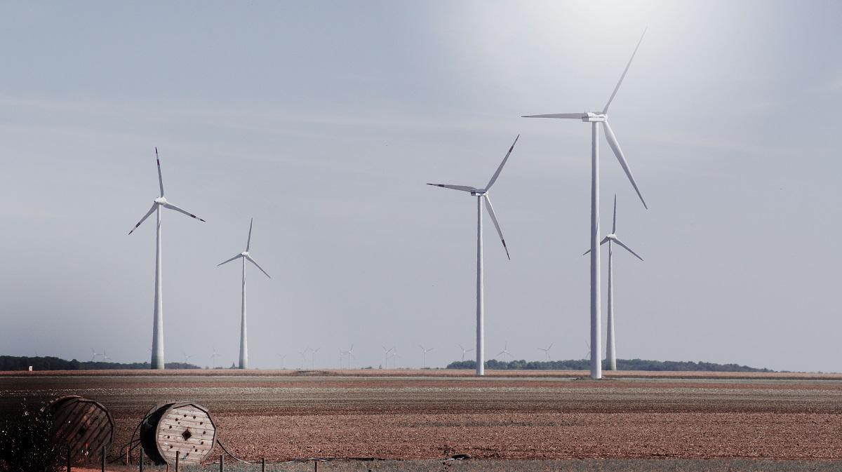 Wind turbines in a field