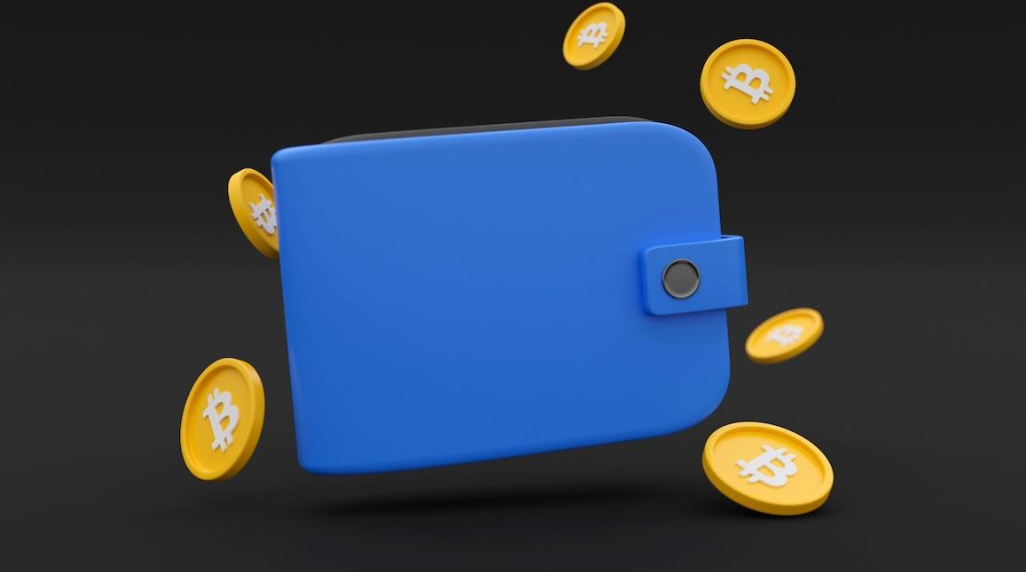 crypto wallet beginners