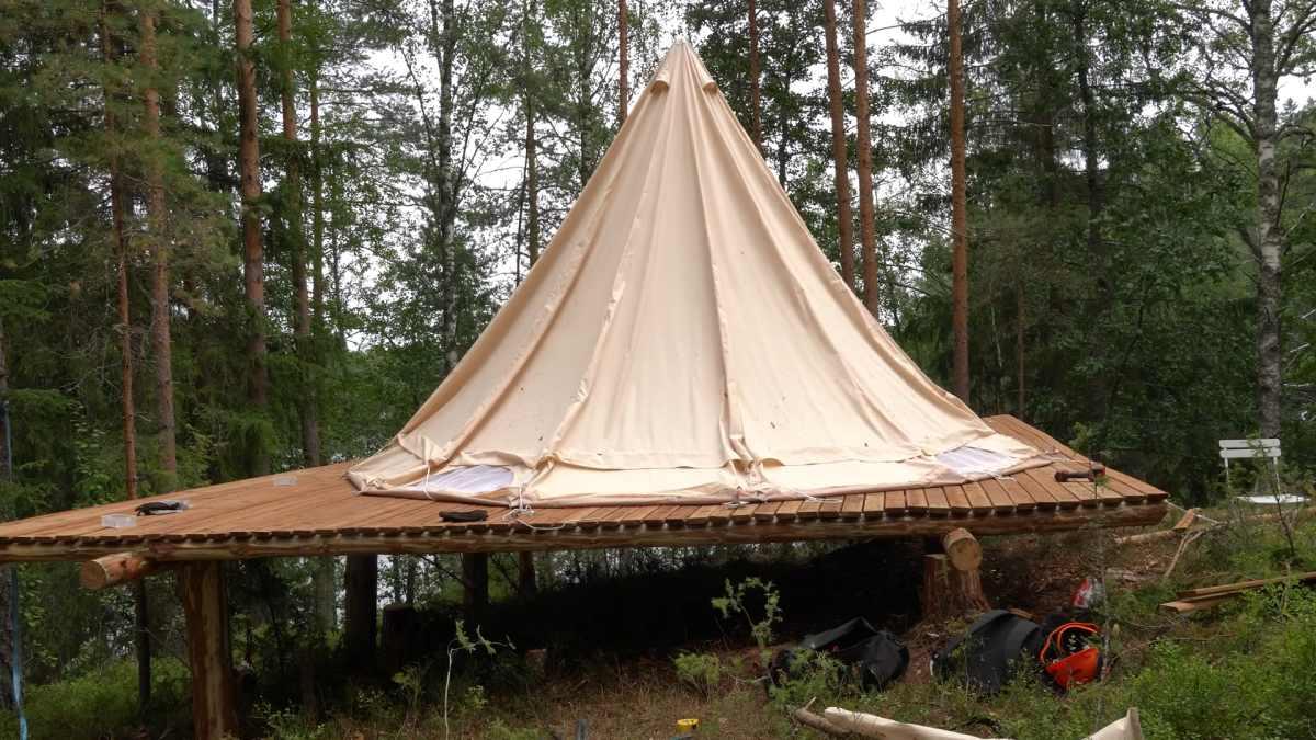 pn/ddfe fd de b fddcfaf