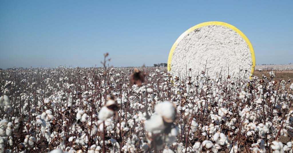 What Is a Commodity Shock? Why It's Happening, Impact on Prices