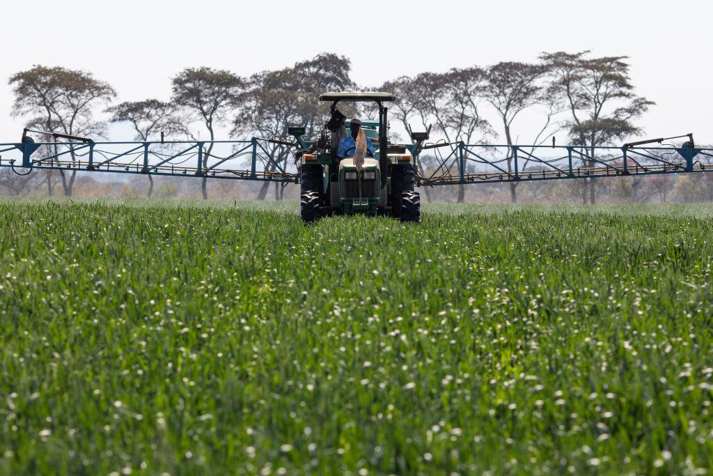 Farmer using fertilizer