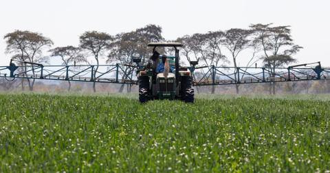 Farmer using fertilizer