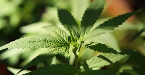 uploads///hexo target price