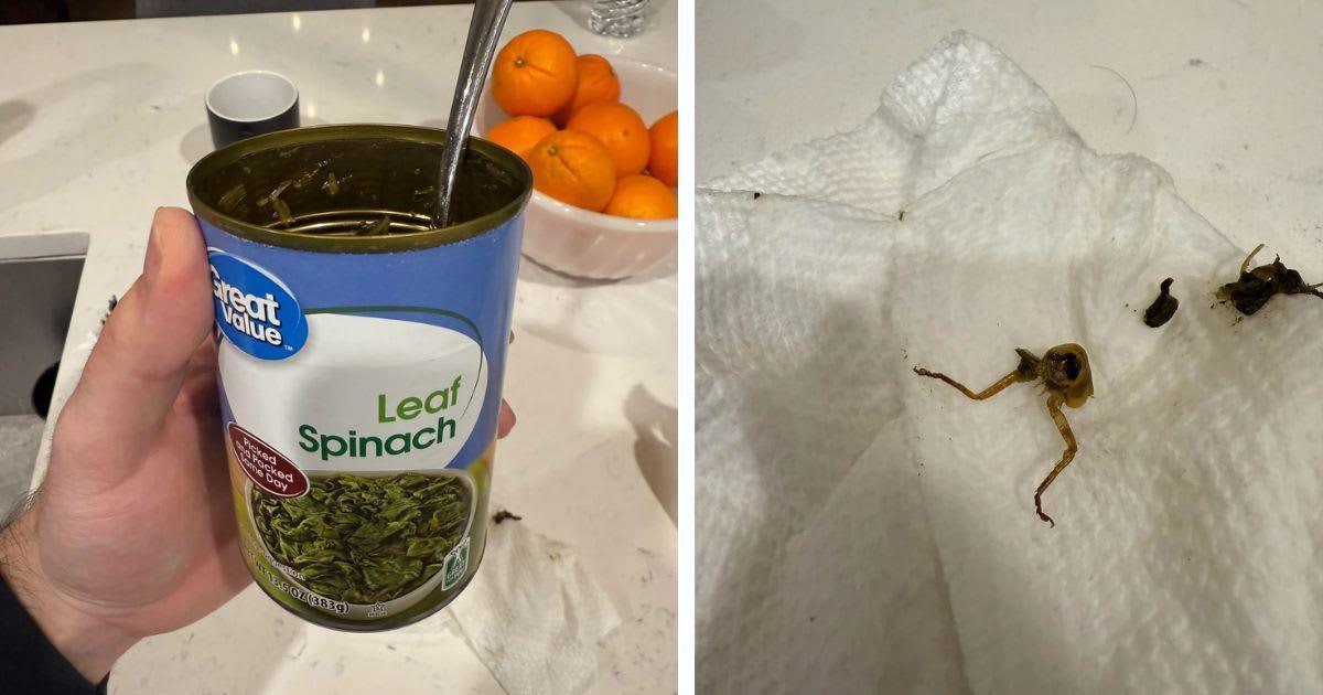 pn//uploads/bca f f af ebcf__