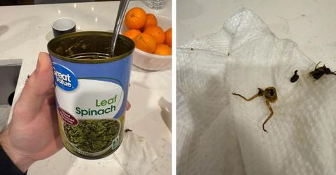 pn//uploads/bca f f af ebcf__