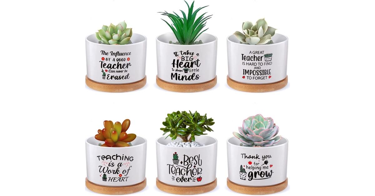 bulk teacher Christmas gifts