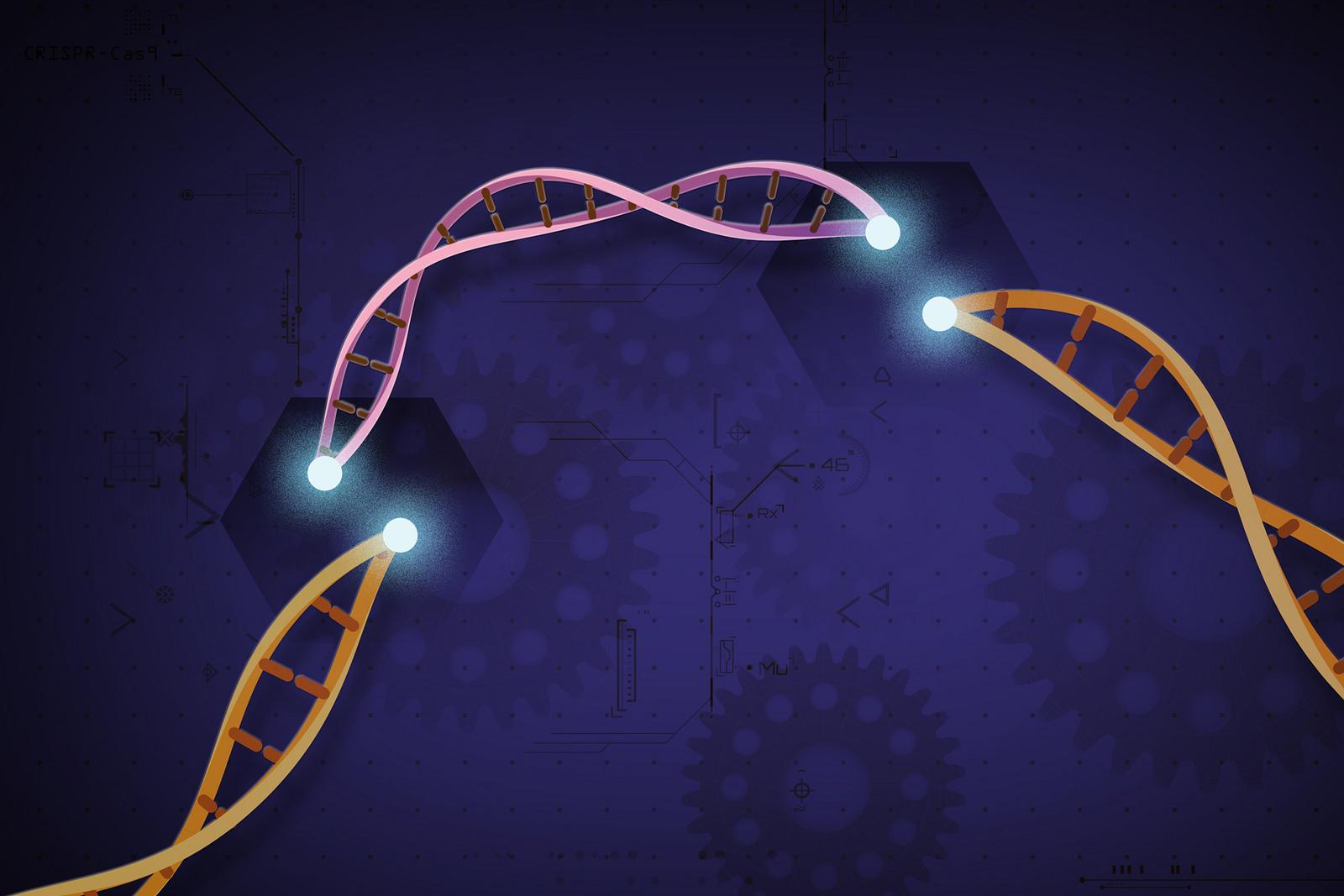 gene editing highres