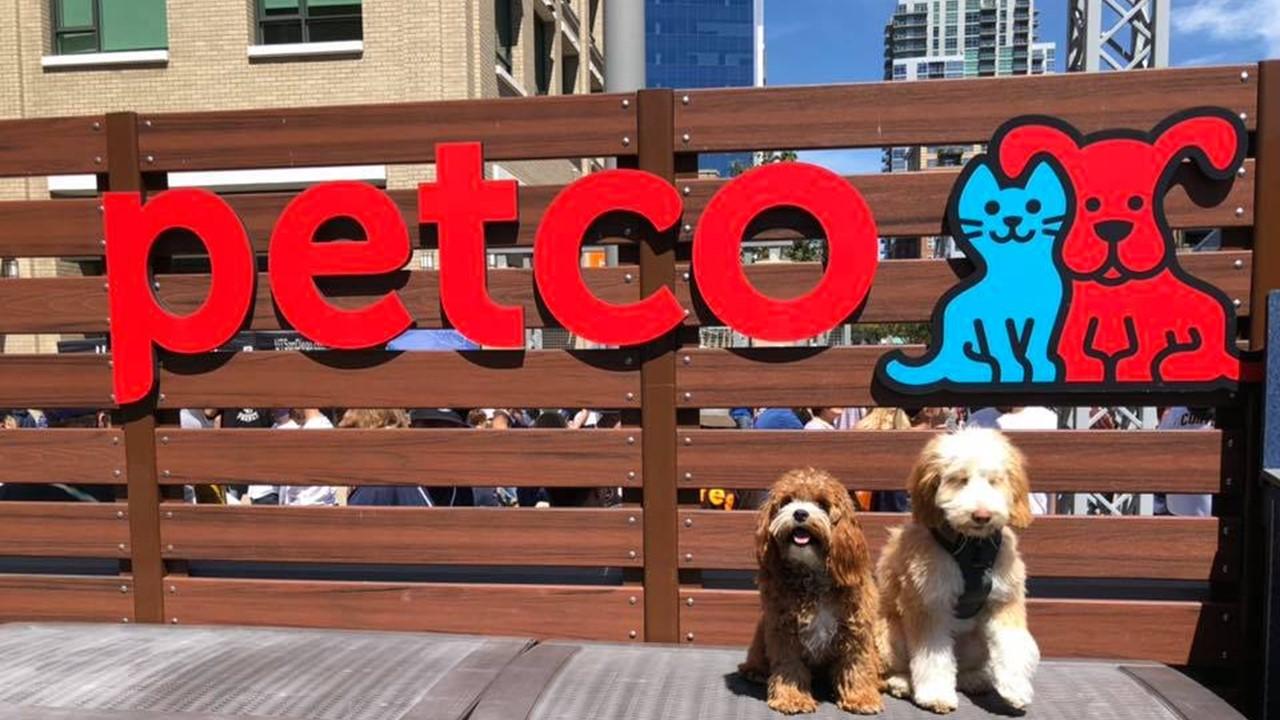 petco stock reddit