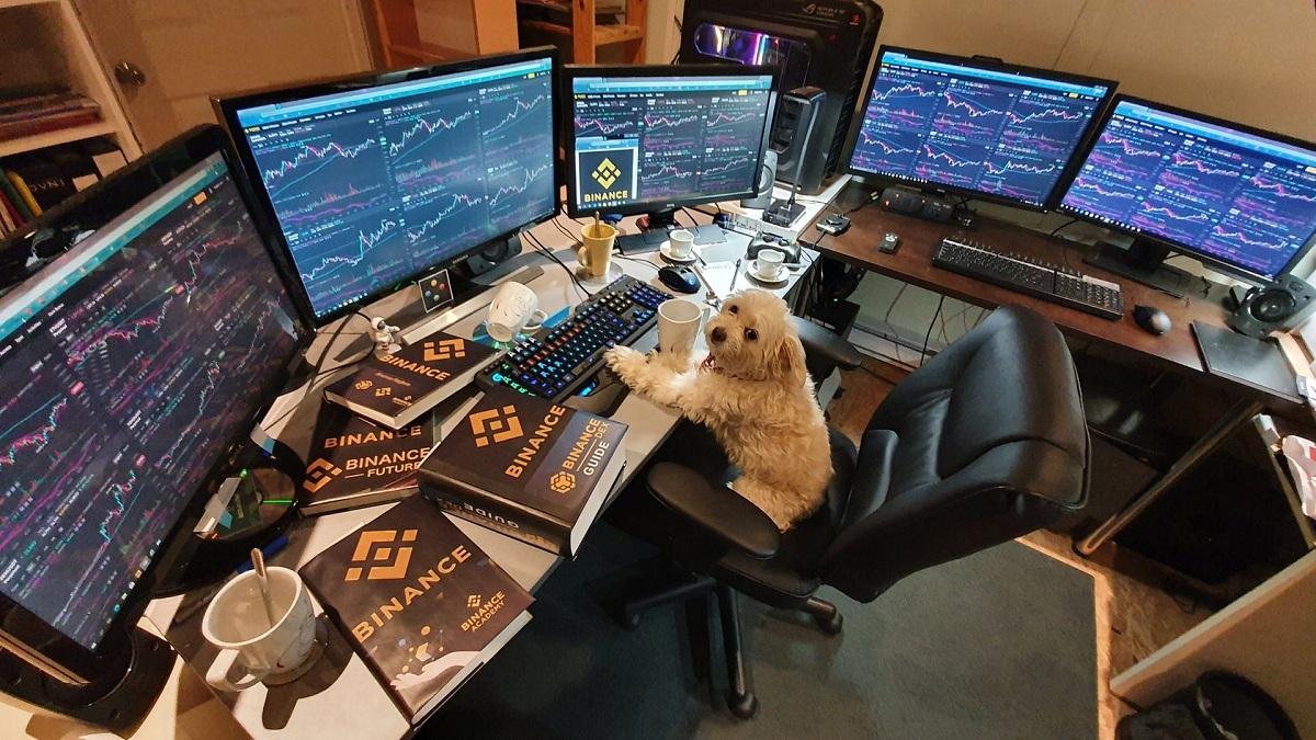 Binance intern ready for the day