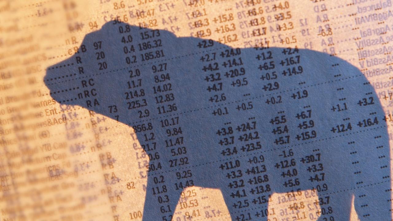 A bear shadow over stock market data