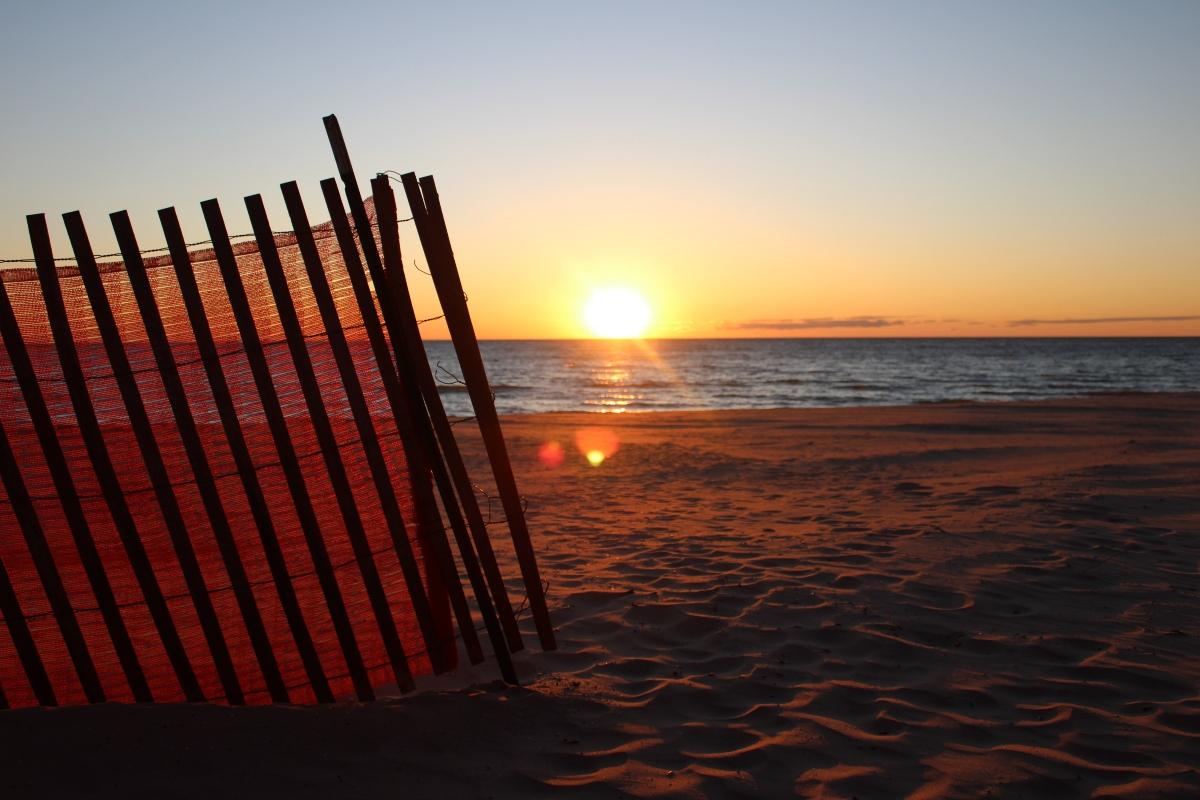 A beach at sunset