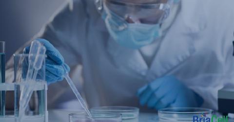 BriaCell employee testing