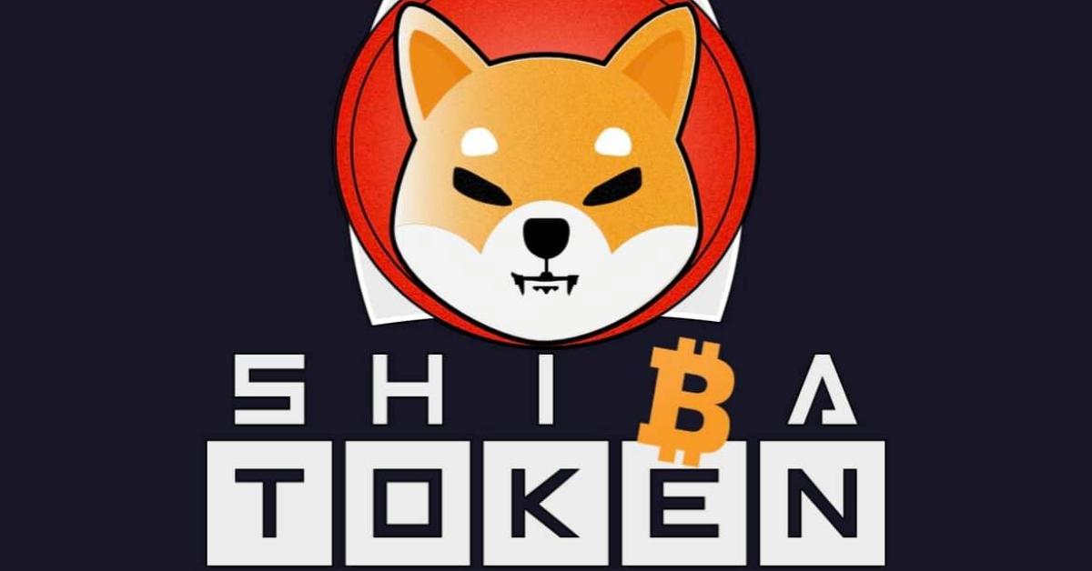 Buy shiba hot sale