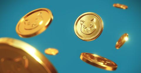 Shiba Inu coins