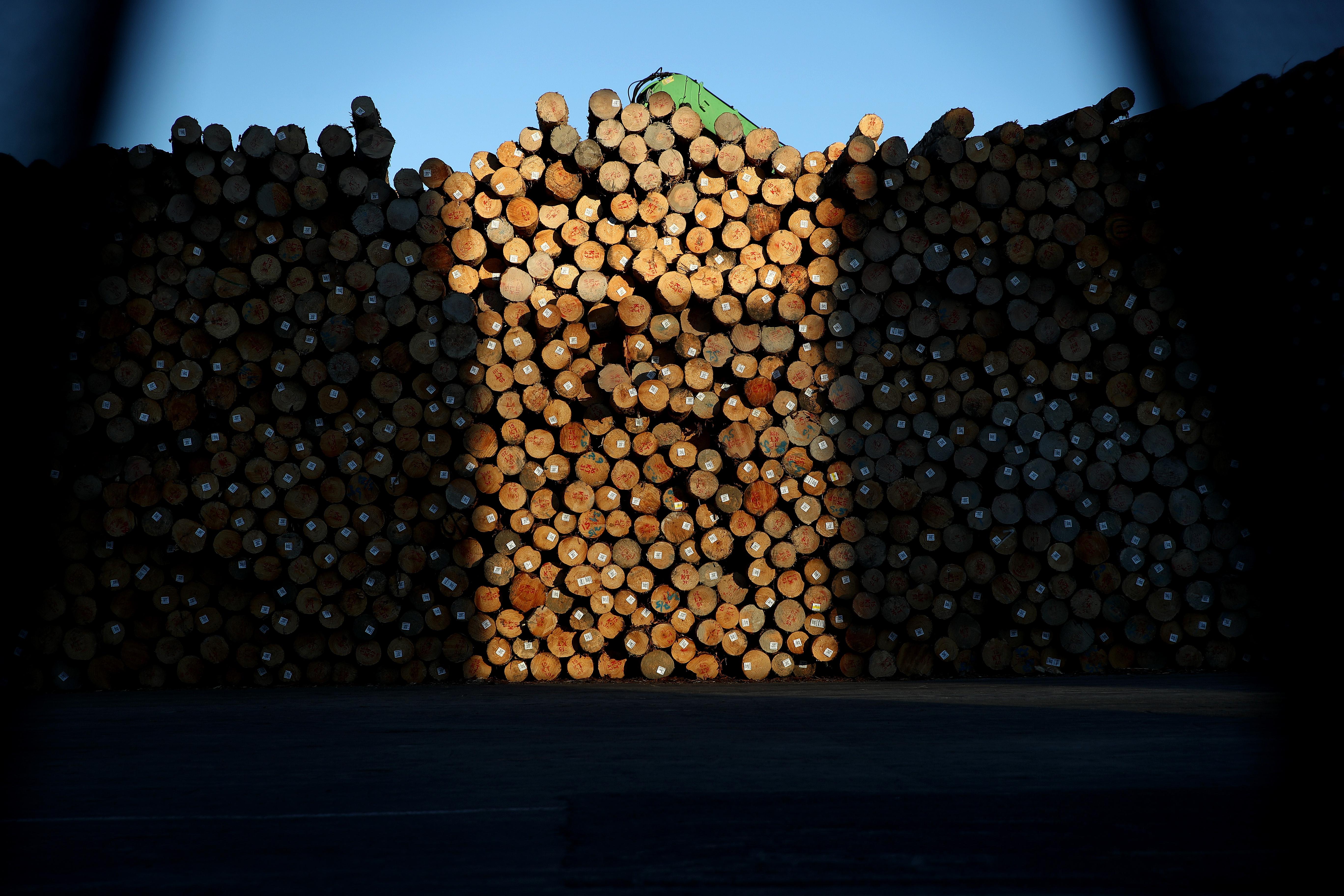 Large stack of lumber 