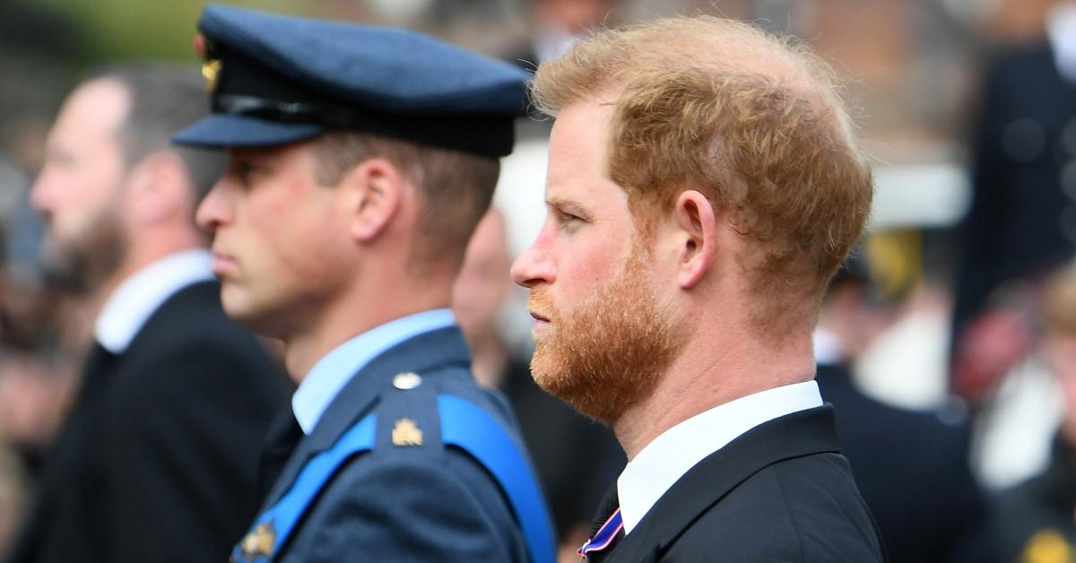 Prince Harry and Prince William