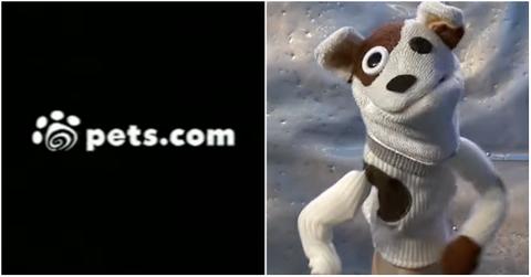 Pets.com logo and mascot