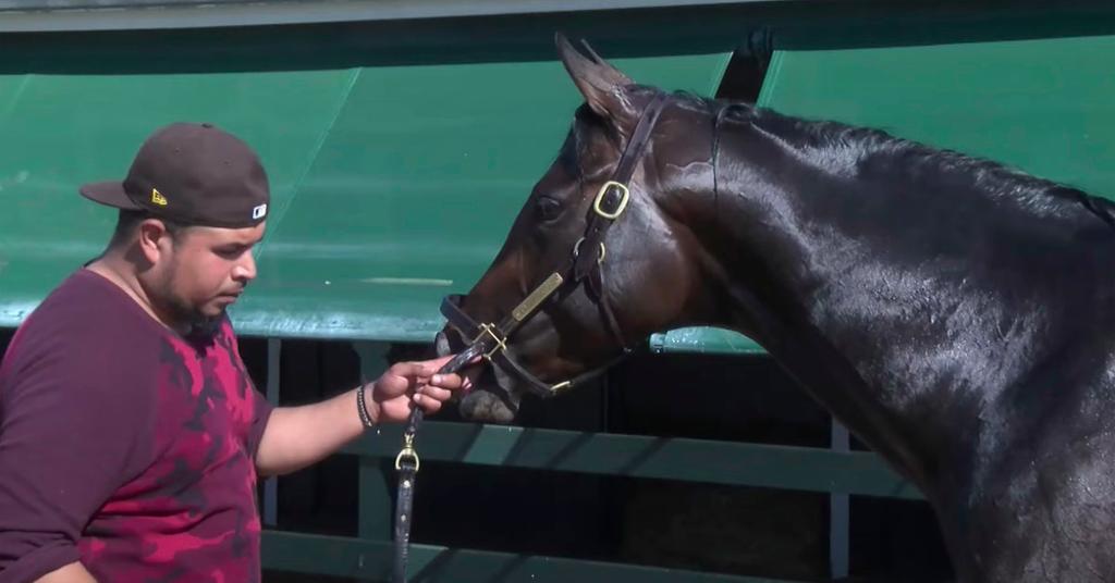 Why Isn’t Early Voting Running in the Belmont Stakes?