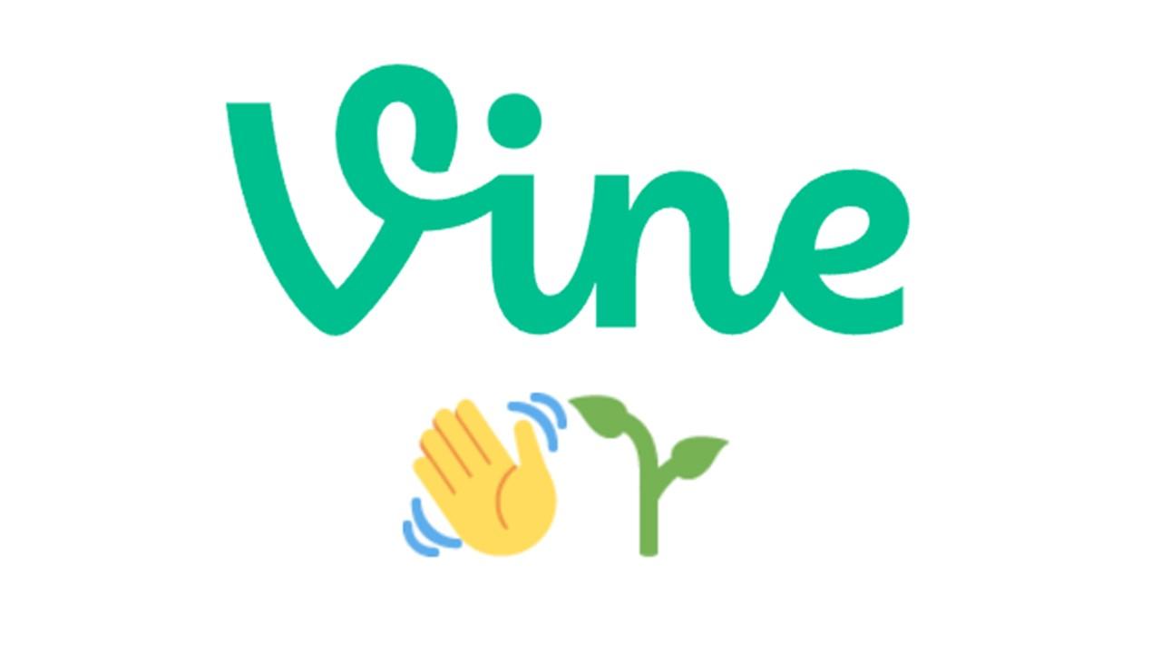 Vine logo