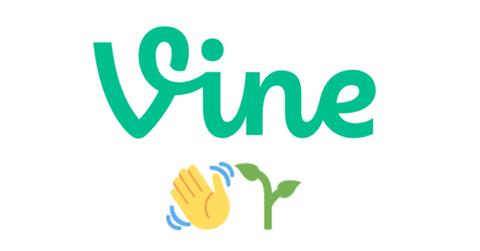 Vine logo