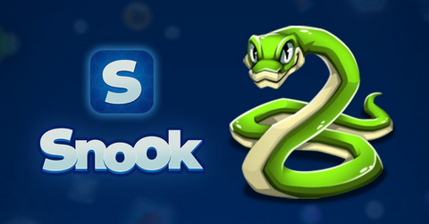 Snook logo