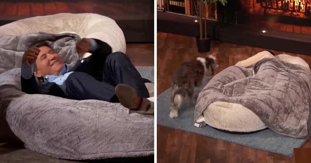 pn//uploads/e b f f faf__