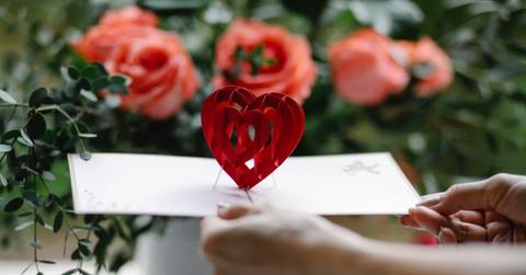 pn//uploads/fed ce ee ad ba__