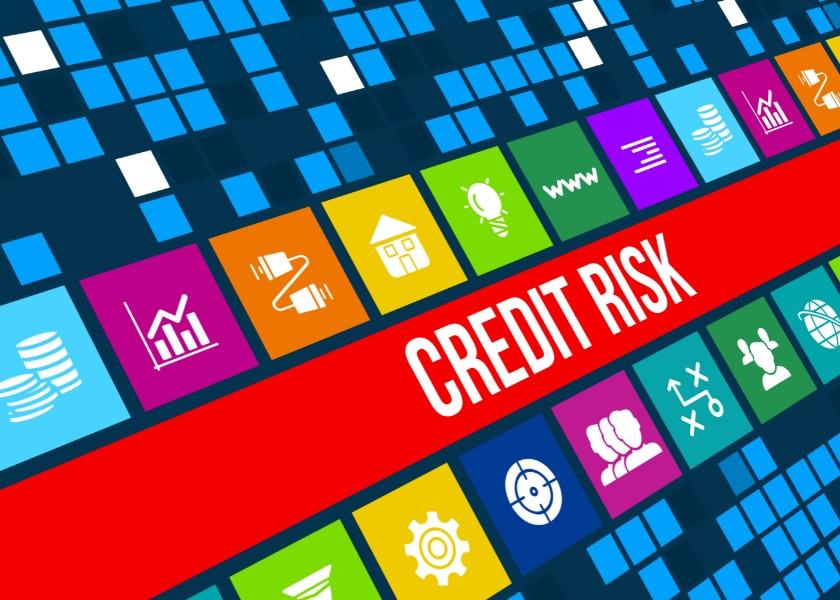 uploads///bank credit risk