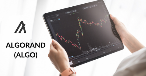 Person looking a data and Algorand logo
