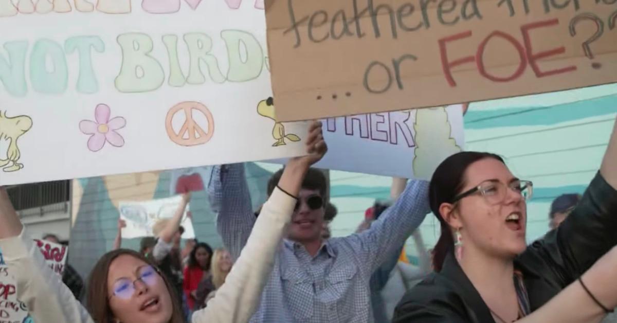 Birds Aren’t Real Movement Started at a Women’s March Counter-Protest
