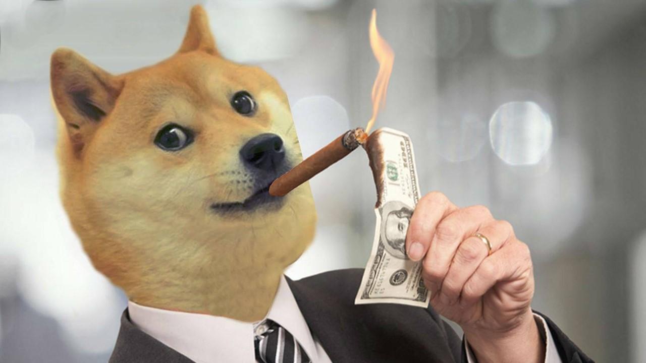 Dogecoin dog burning money