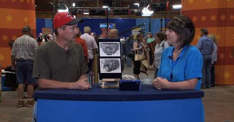 pn//uploads/ad f f ba ebedf__