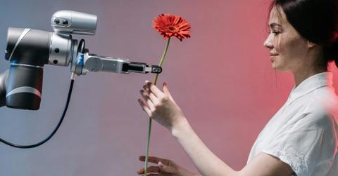 pn//uploads/dfdf fd ee ba cfcc__