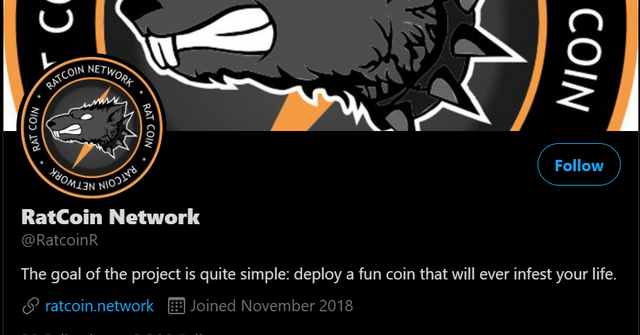 Does Elon Musk Own Ratcoin? Debunking The Rumors