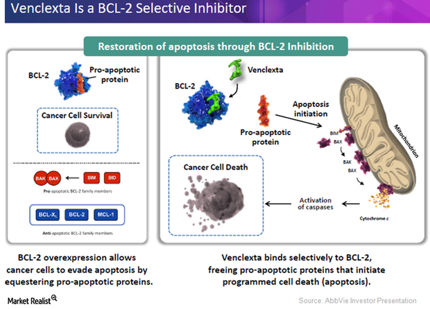 Venclexta The First Bcl 2 Inhibitor Cancer Therapy To Be Approved By The Fda 3771