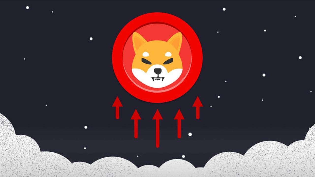 Shiba Inu coin and arrows