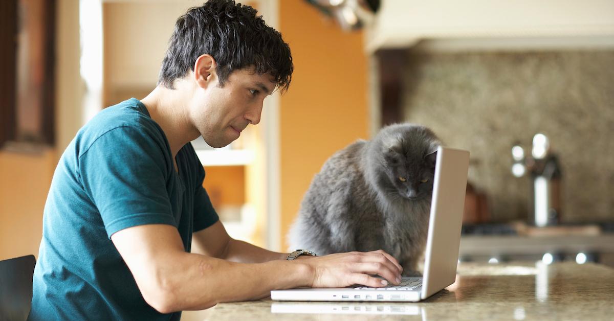 Person using a laptop at home