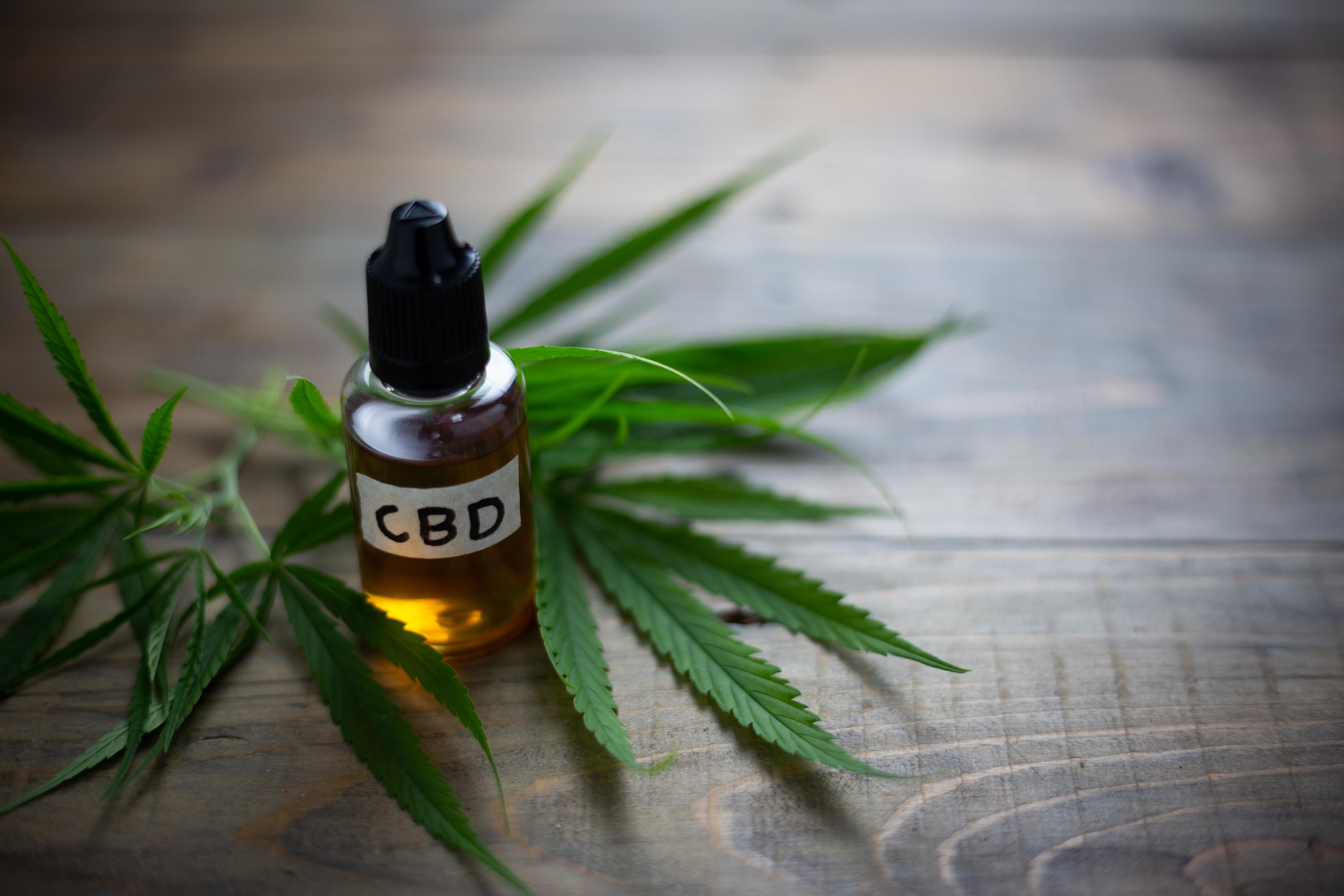 uploads///cannabis