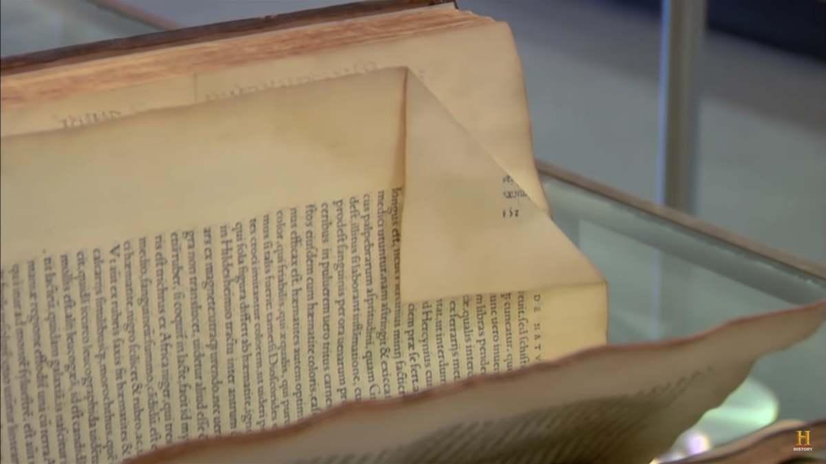 pn/eceed ae d e befeb