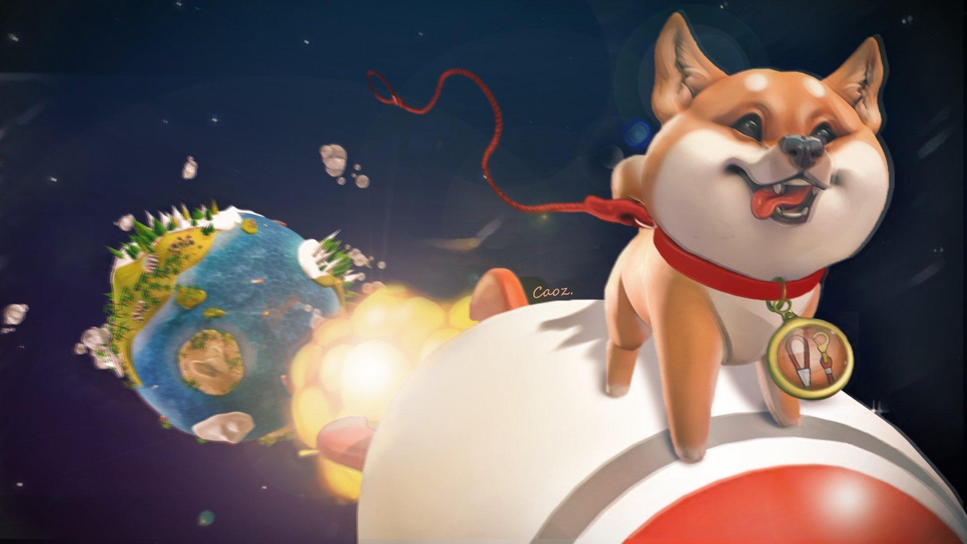 A dog riding a rocket all the way to the moon of Instagram Growth by cracking the Instagram Algorithm