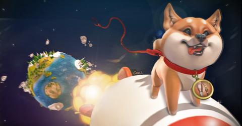 Shiba Inu token going to the moon