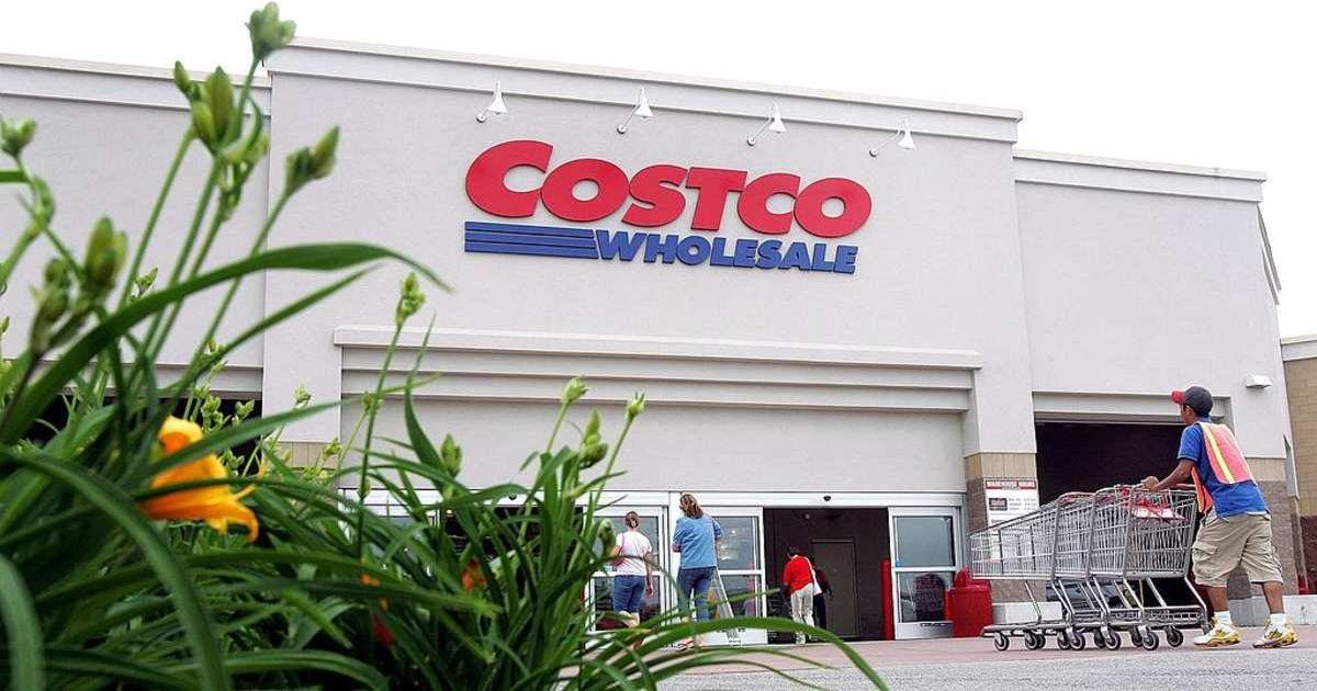 pn//uploads/ff c f be ddcf__