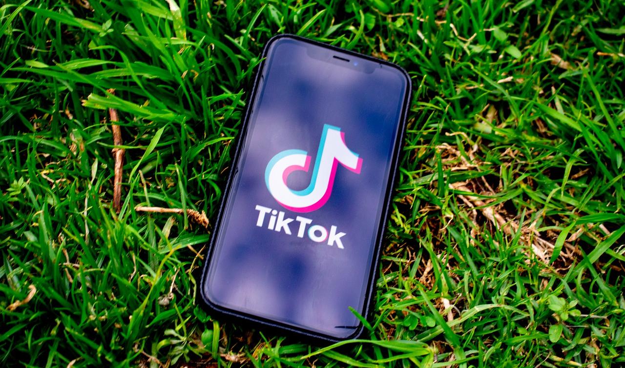 download tik tok video without mark