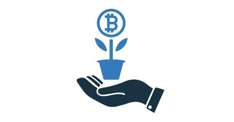 An illustration of a hand holding a bitcoin plant